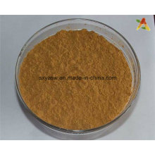 High Quality Natural Hyoscyamine Belladonna Extract